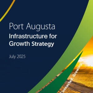 PAIFG Cover for website_001